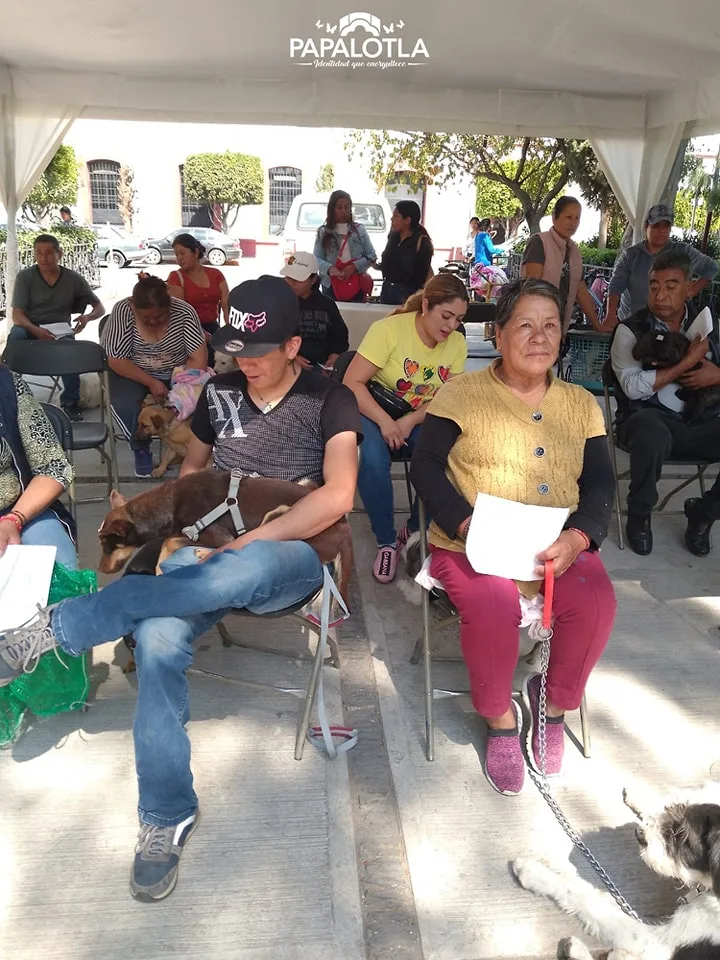 1699887940 Enterate Se realizo la ultima jornada de esterilizacion de jpg