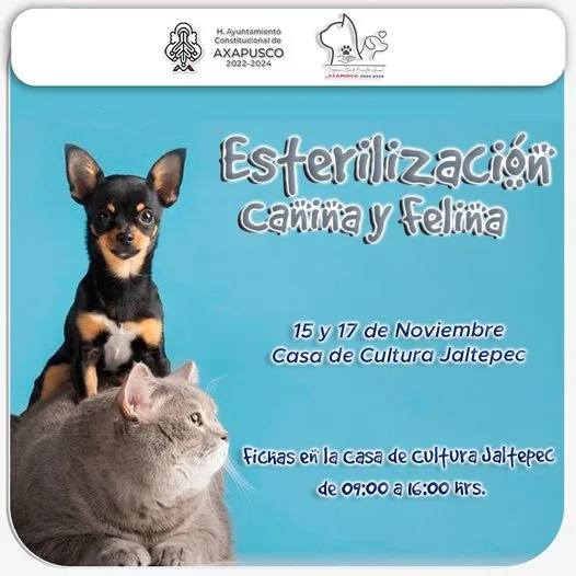 1699892775 Continuando con la ESTERILIZACION DE PERROS Y GATOS la jpg