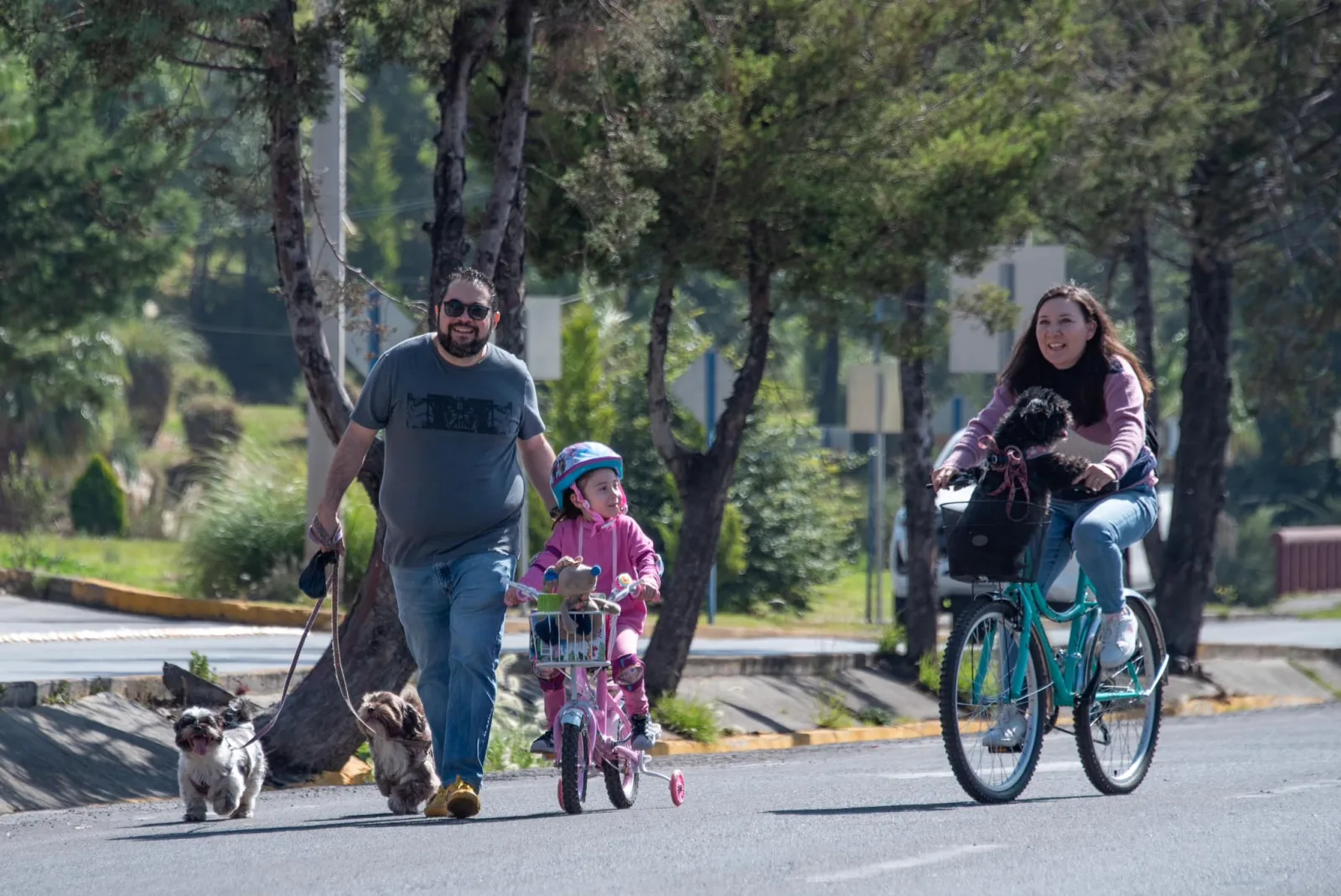 1699892937 Decenas de familias se dieron cita para disfrutar de la scaled