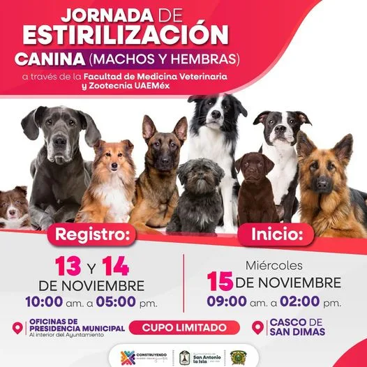 1699897959 Esterilizacion Gratuita Acude a registrar a tu lomito machos jpg