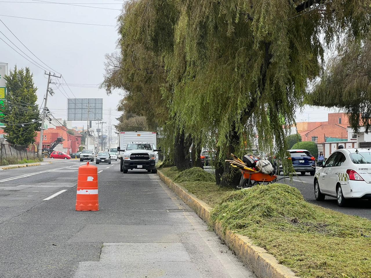 1699898387 657 Toma precauciones La Direccion de Metepec Servicios Publicos realiza poda