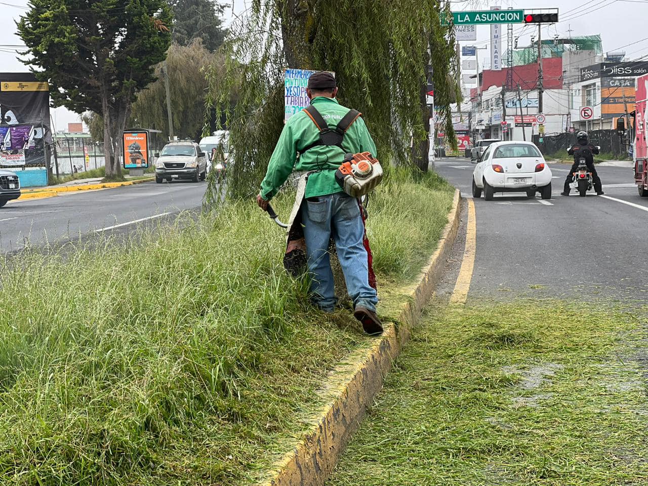 1699898421 Toma precauciones La Direccion de Metepec Servicios Publicos realiza poda