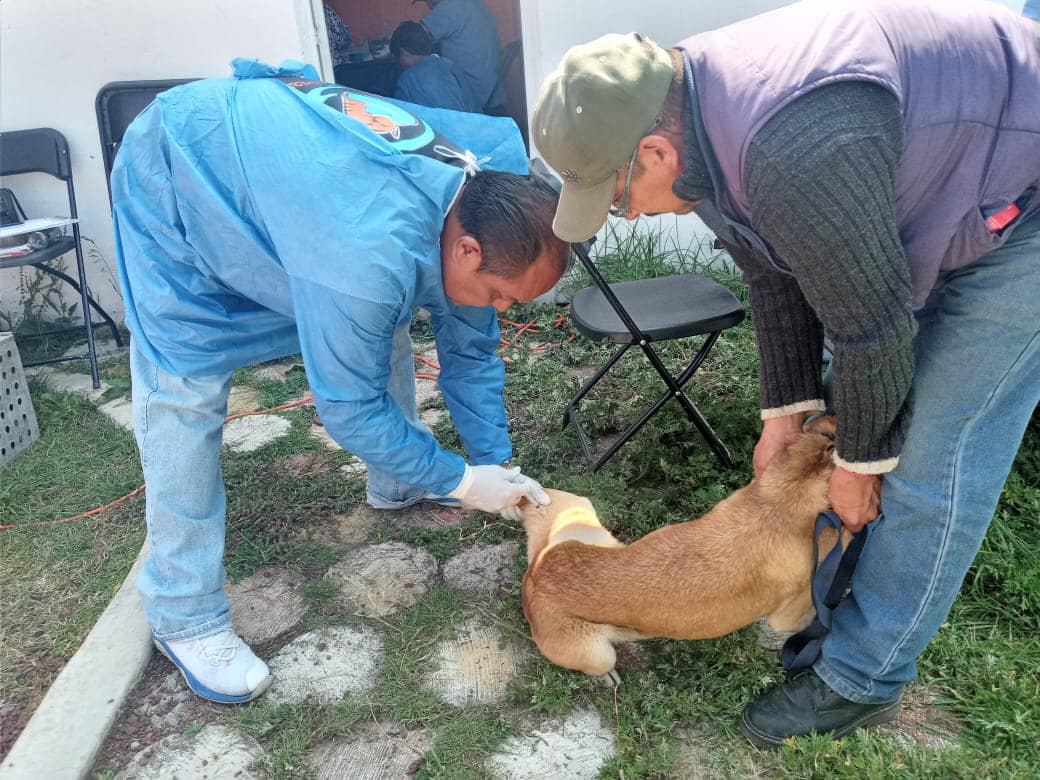 1699906399 209 La Coordinacion de Salud llevo a cabo otra 𝗖𝗔𝗠𝗣𝗔𝗡̃𝗔 𝗗𝗘