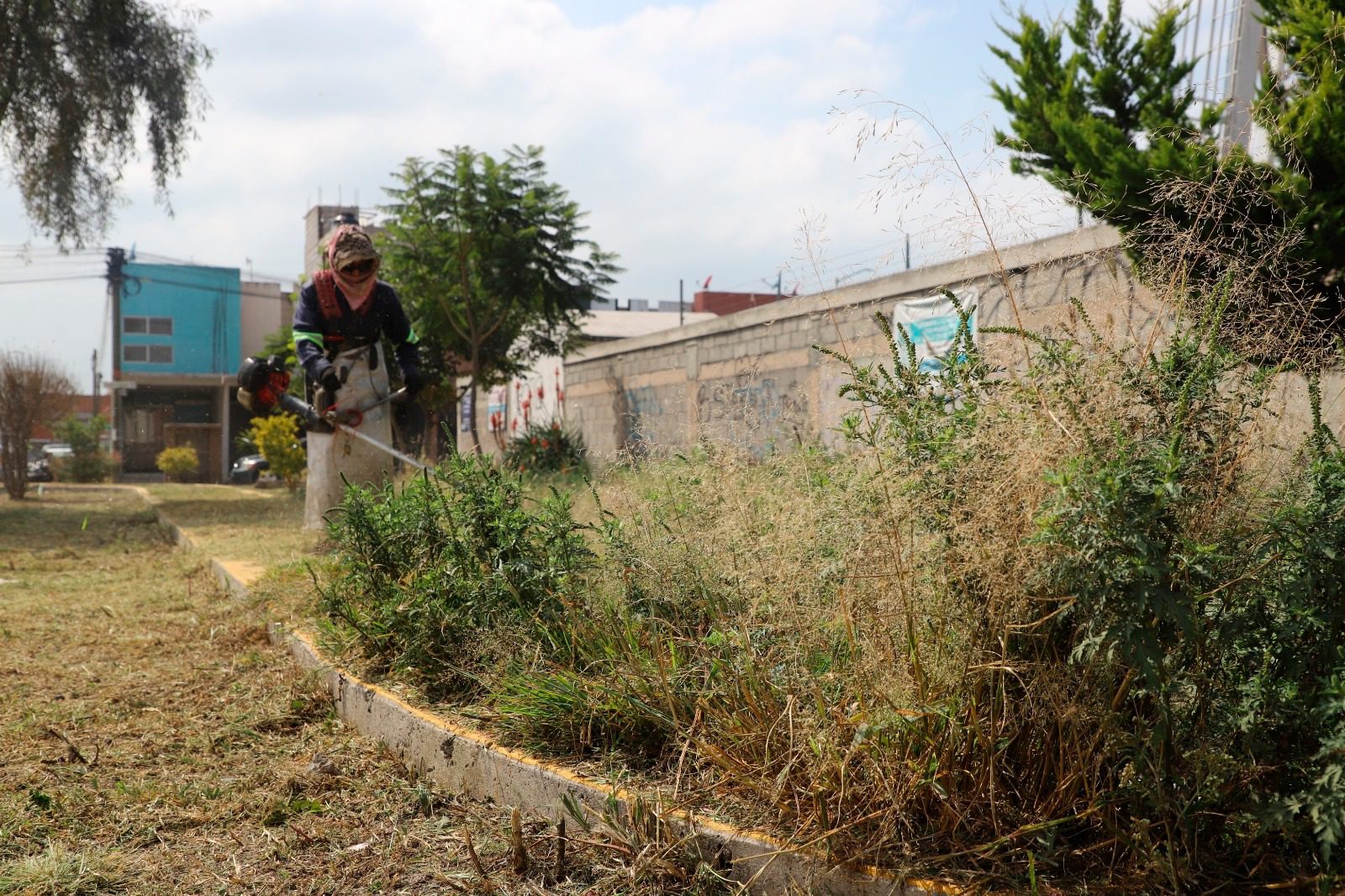 1699906924 291 Para el mejoramiento de la imagen urbana de Parque San