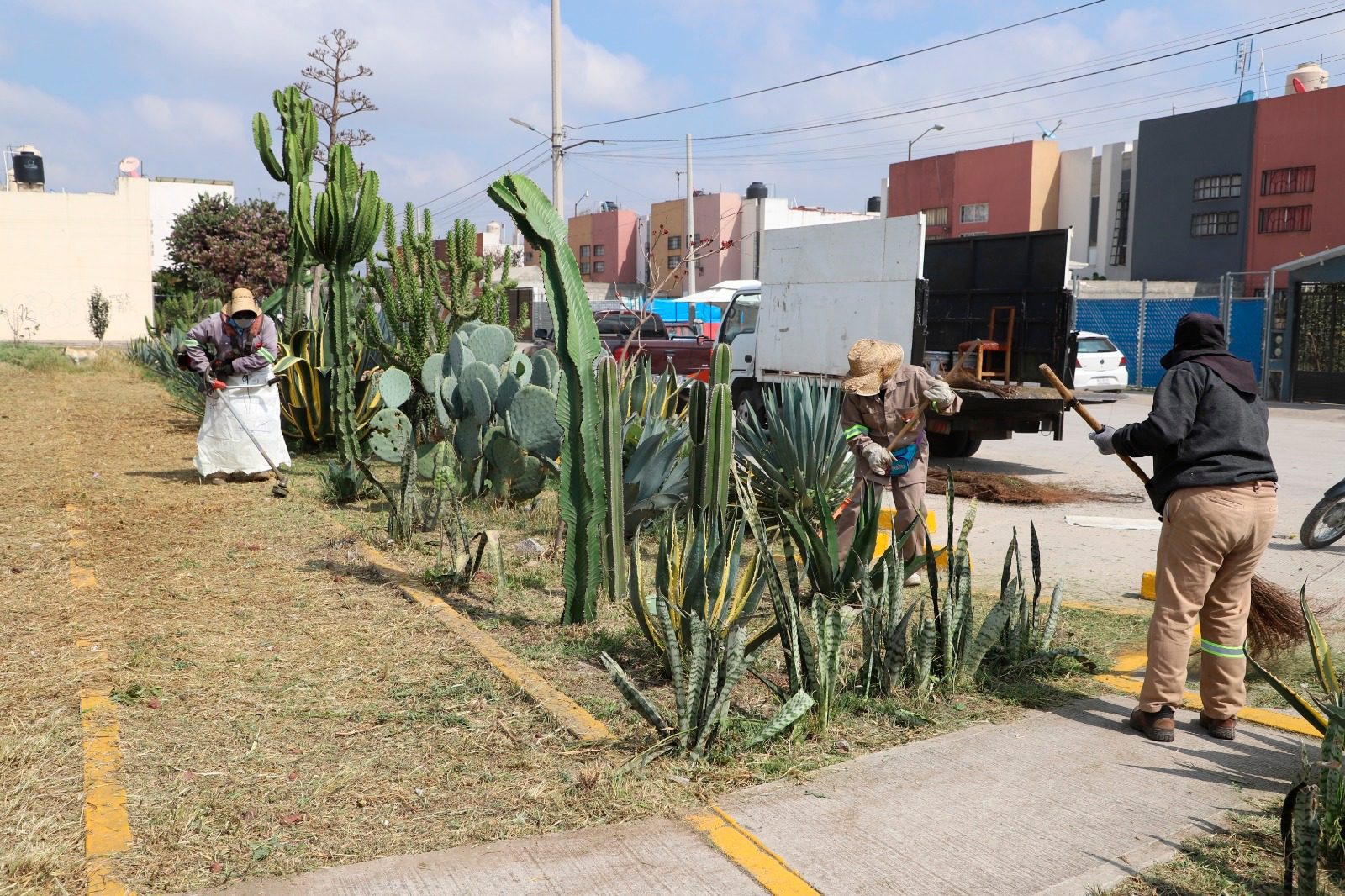 1699906930 380 Para el mejoramiento de la imagen urbana de Parque San