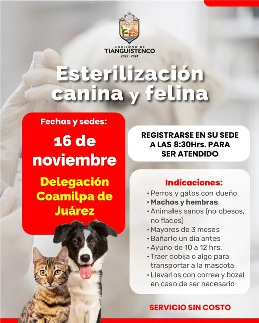 1699908913 Como parte del programa integral de atencion a las mascotas jpg