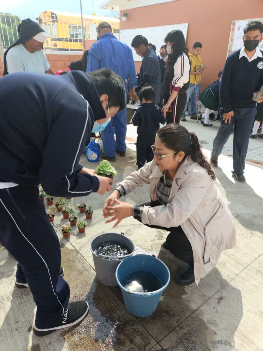 1699909226 256 ¡Mundo de Suculentas La Coordinacion de Ecologia realizo una actividad