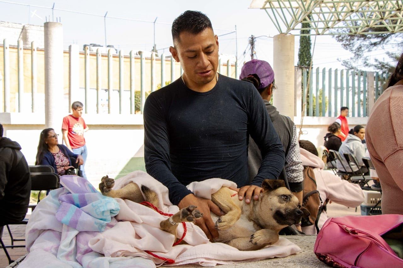 1699913904 740 CON LAS JORNADAS CANINAS Y FELINAS GOBIERNO DE CHIMALHUACAN LLEGA