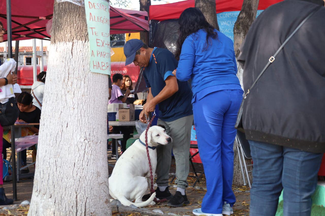 1699964444 536 Ven a vacunar a tu gatito o perrito estamos en