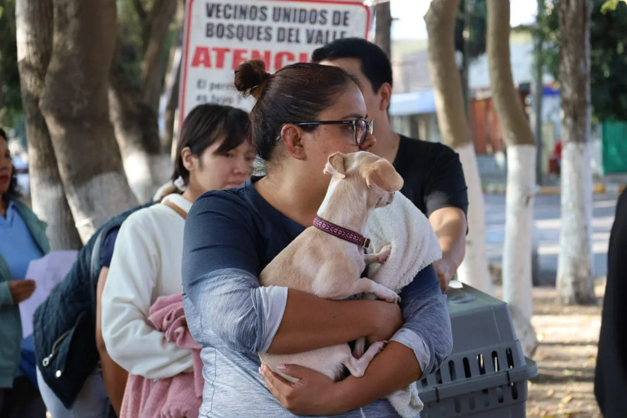 1699964470 Ven a vacunar a tu gatito o perrito estamos en jpg