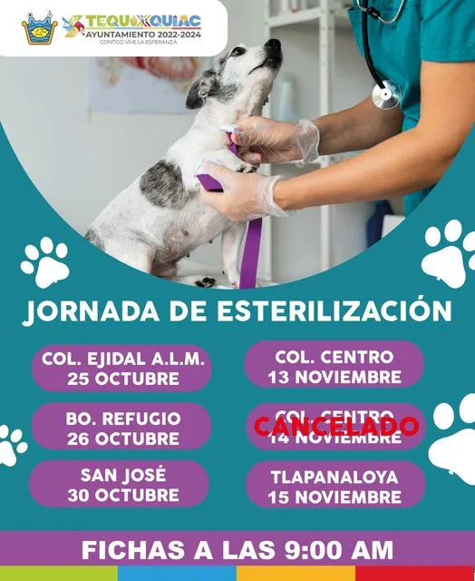 1699965190 ATENCION TEQUIXQUENSES las esterilizaciones programadas para el dia de manana jpg