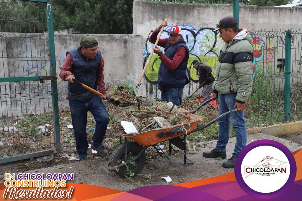 1699993131 548 El dia de hoy la coordinacion de parques y jardines