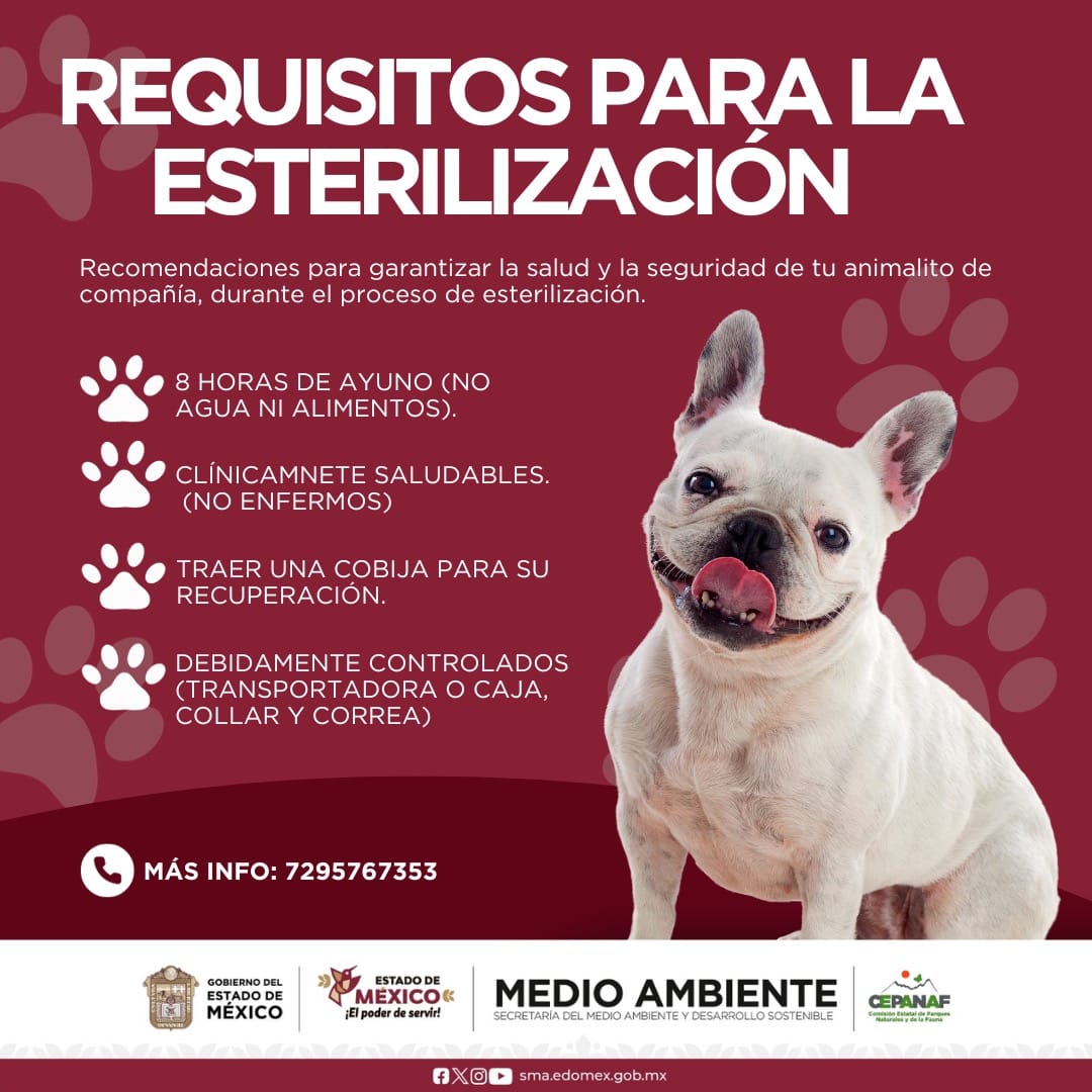 1700056437 638 Salud Por el BienestarDeTuMascota participa en la mega