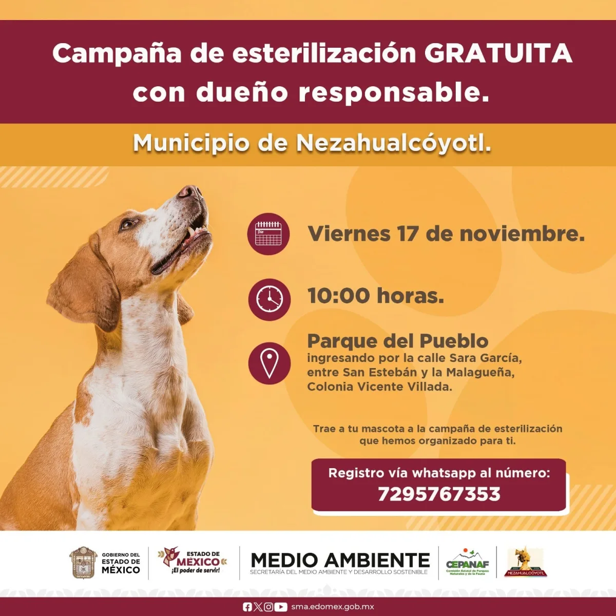 1700056447 Salud Por el BienestarDeTuMascota participa en la mega