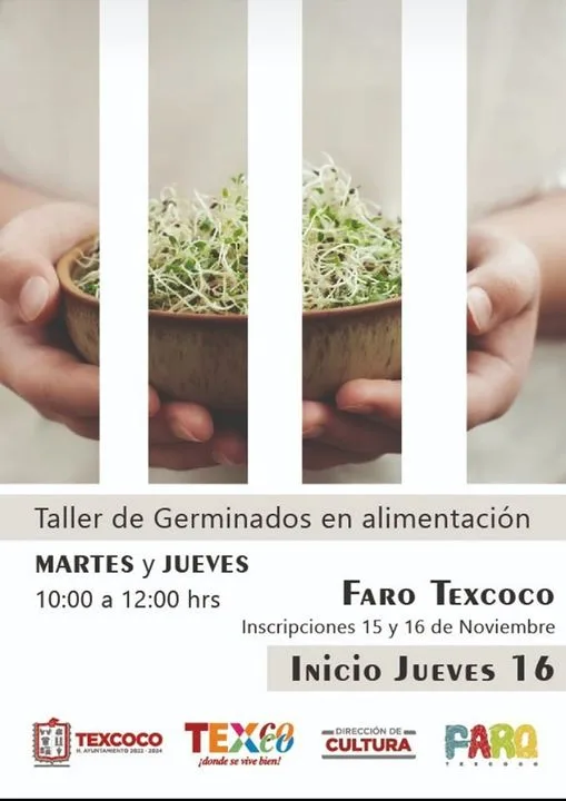 1700070096 Unete al taller de germinados en alimentacion que se impartira jpg