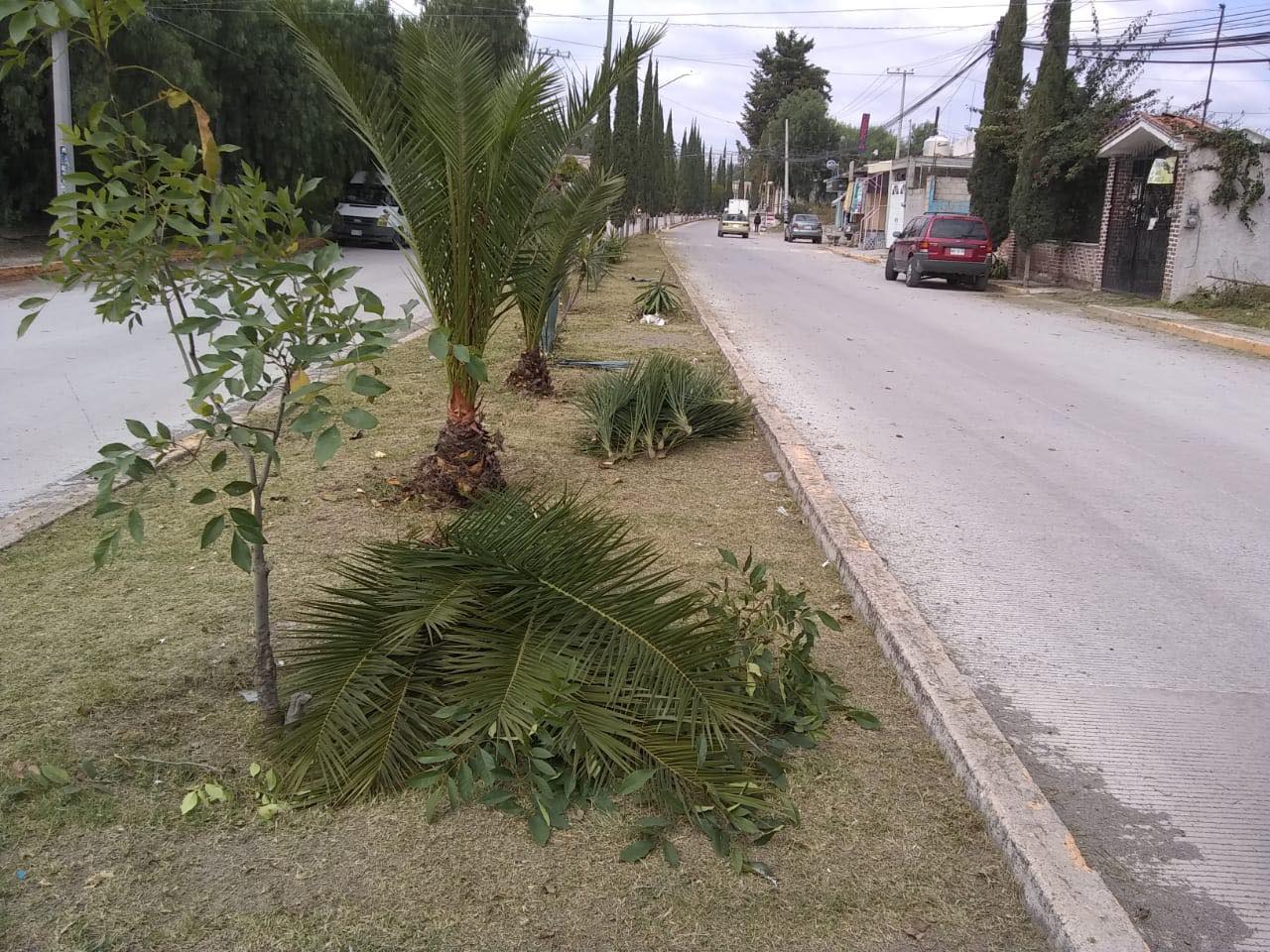 1700072141 21 POR UN HUEHUETOCA MAS LIMPIO Para continuar dando el