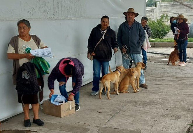 1700076193 593 ¡Logramos mucho juntos en la Vigesima Sexta Jornada Gratuita de