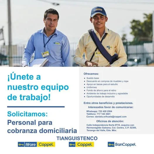 1700081910 ¿Estas en busca de empleo jpg