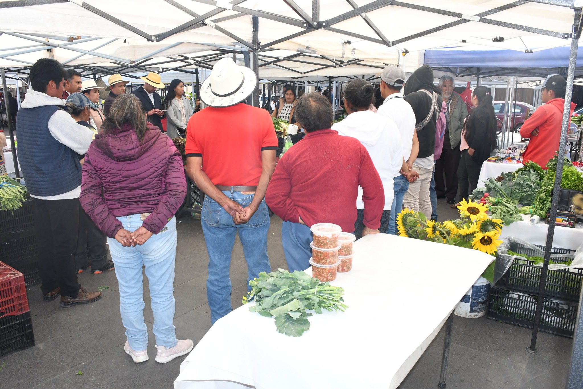 1700147189 779 Funcionarios de la Secampo visitan y motivan a productores del