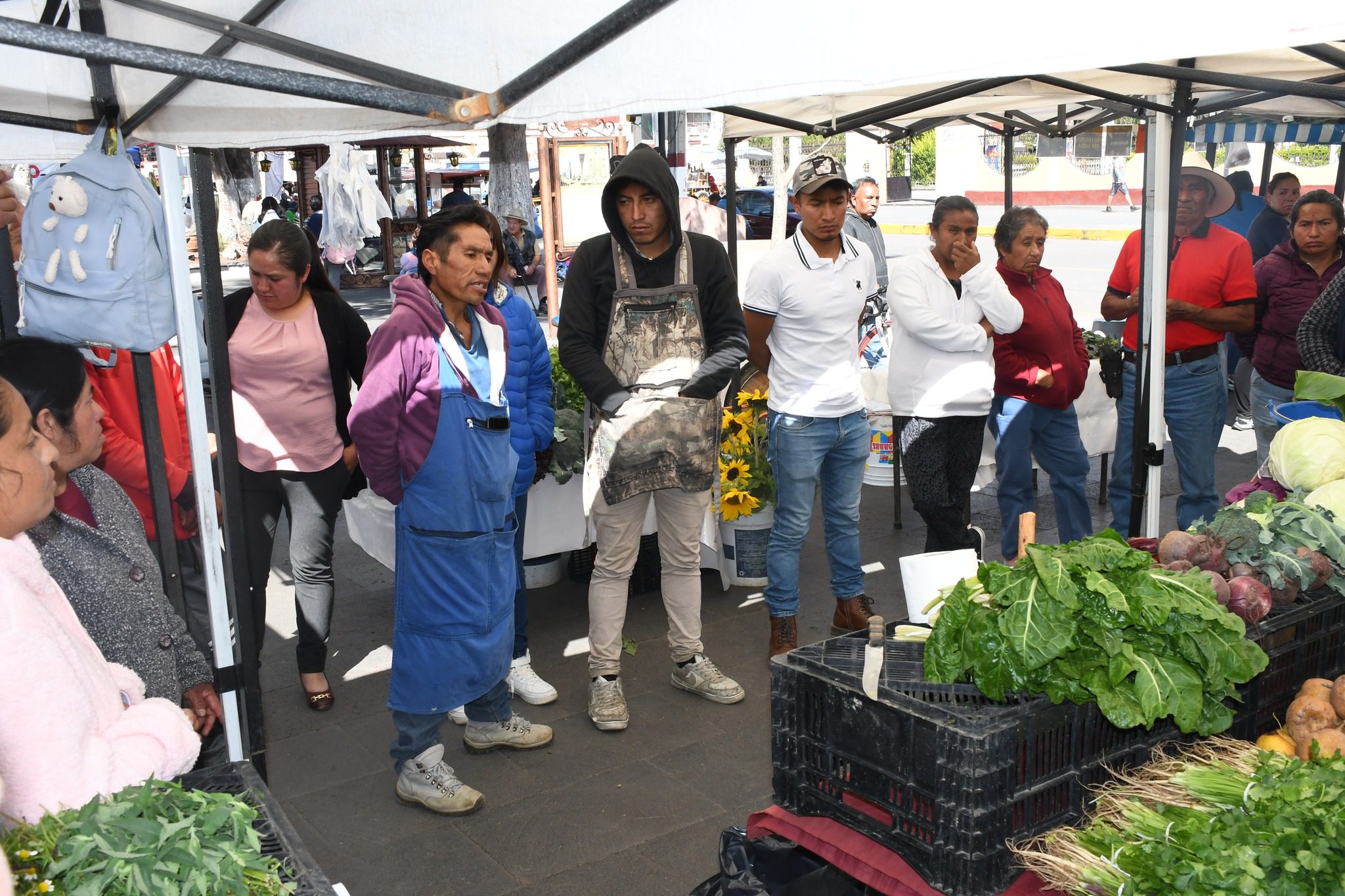 1700147195 827 Funcionarios de la Secampo visitan y motivan a productores del