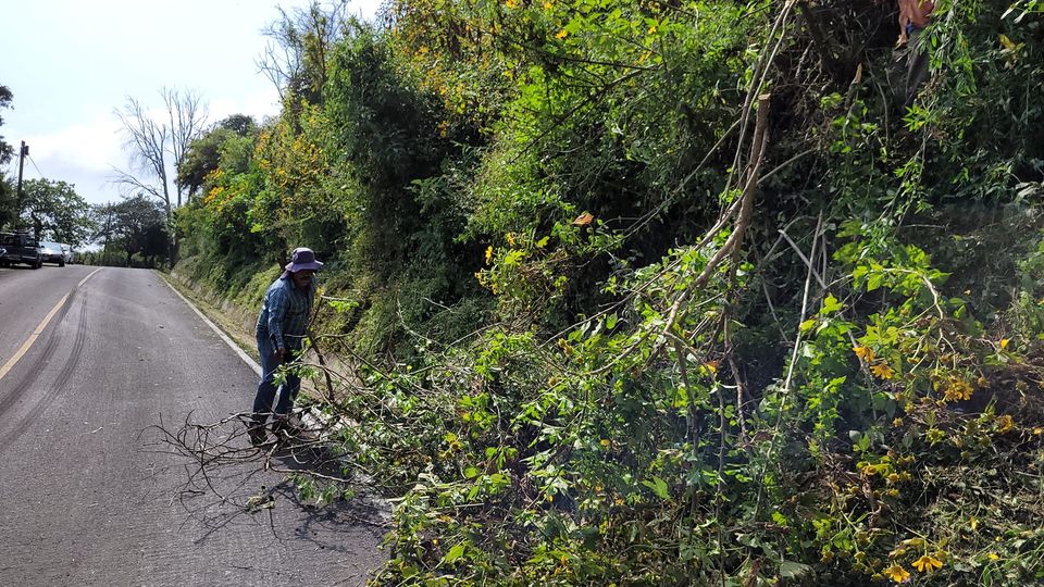 1700673537 Personal de proteccion civil realiza deshierbe de carretera en el