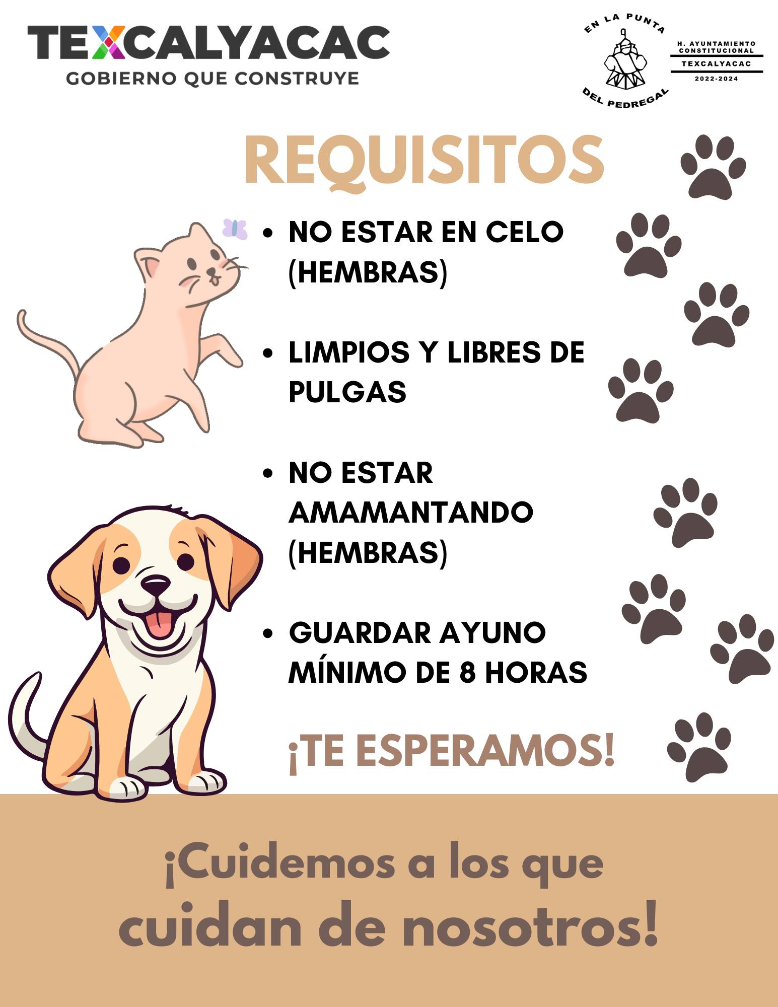 1700673781 41 Jornada de Esterilizacion Canina y Felina Viernes 24 de Noviembre