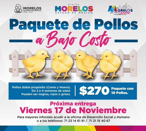 ¡Una vez mas llevaremos la entrega de paquete de Pollos