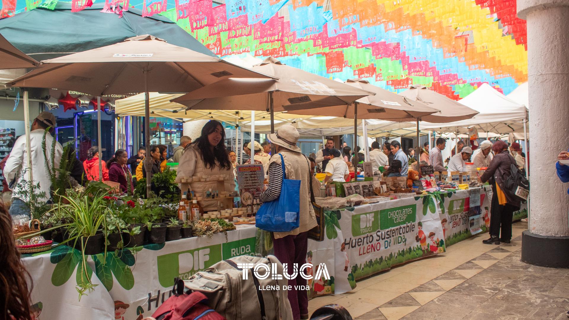 1701722616 57 ¡Te estamos esperando en el Huerto Sustentable del DIF Toluca