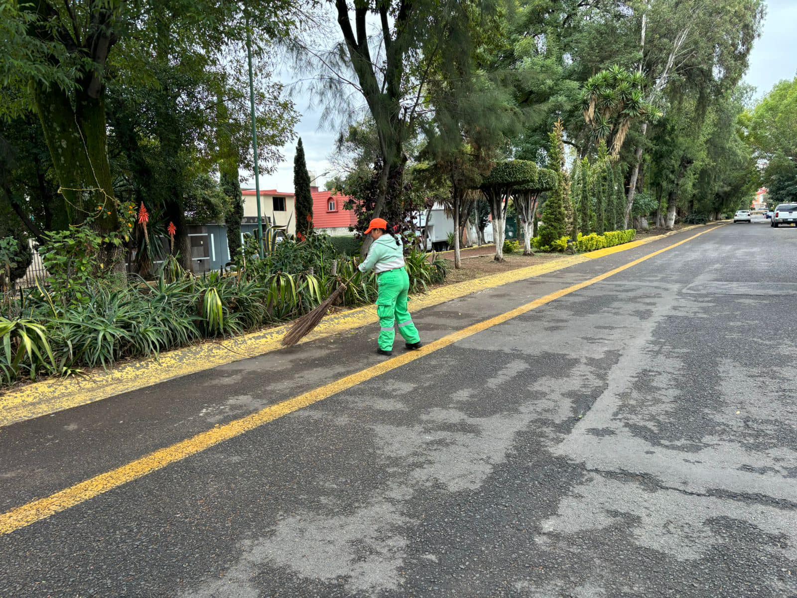 1701725531 783 Personal de ServiciosPublicos realizo trabajos de barrido en el Camellon