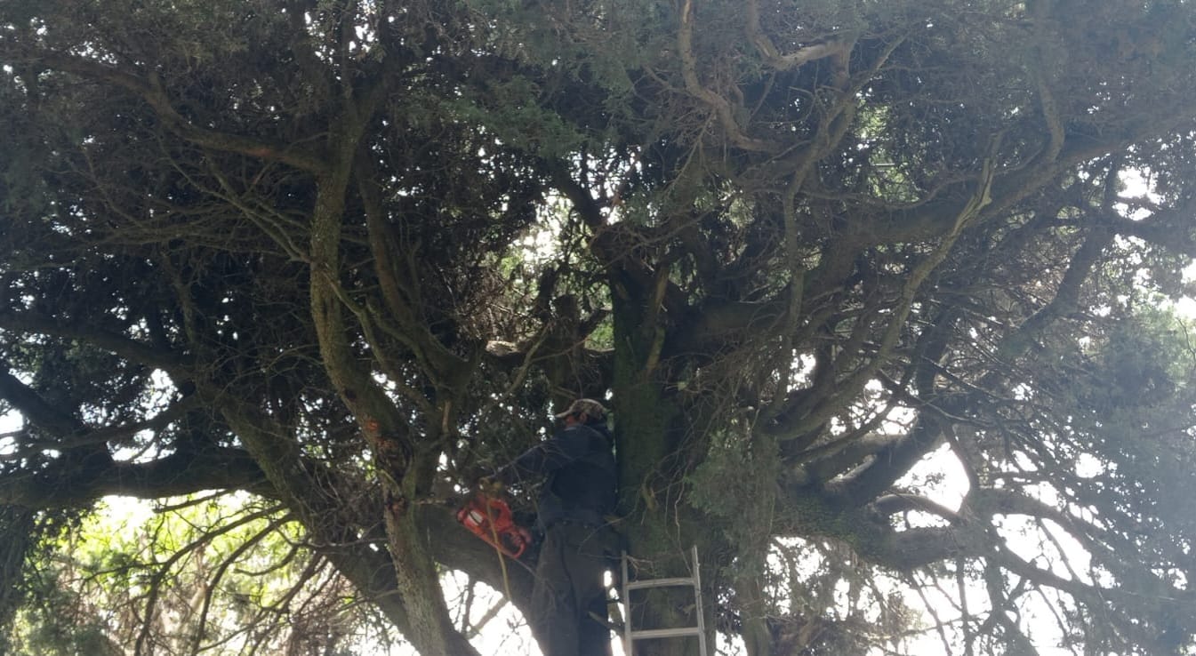 1701727196 373 El Gobierno Municipal de Texcalyacac a traves de la Direccion