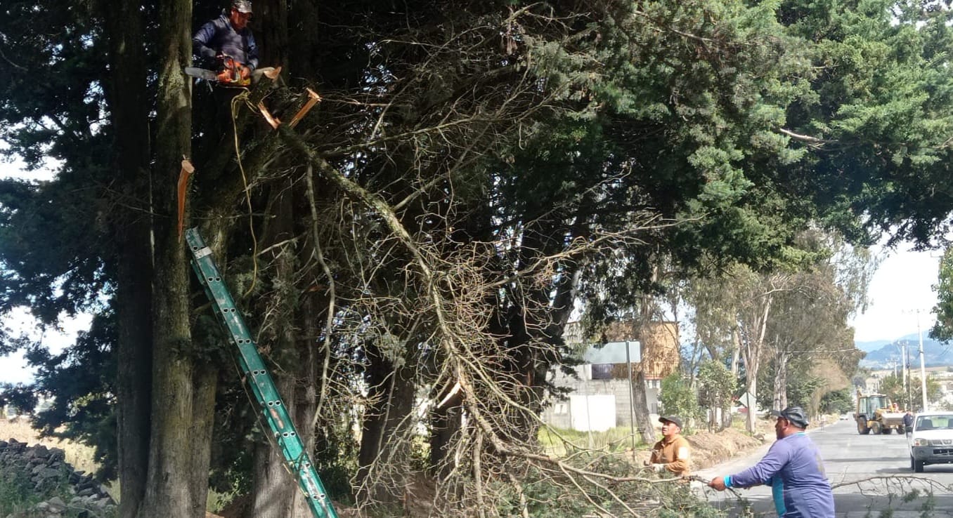 1701727209 66 El Gobierno Municipal de Texcalyacac a traves de la Direccion