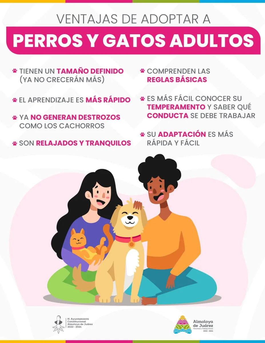 1701729440 Vecinas y vecinos les compartimos algunas ventajas de adoptar una