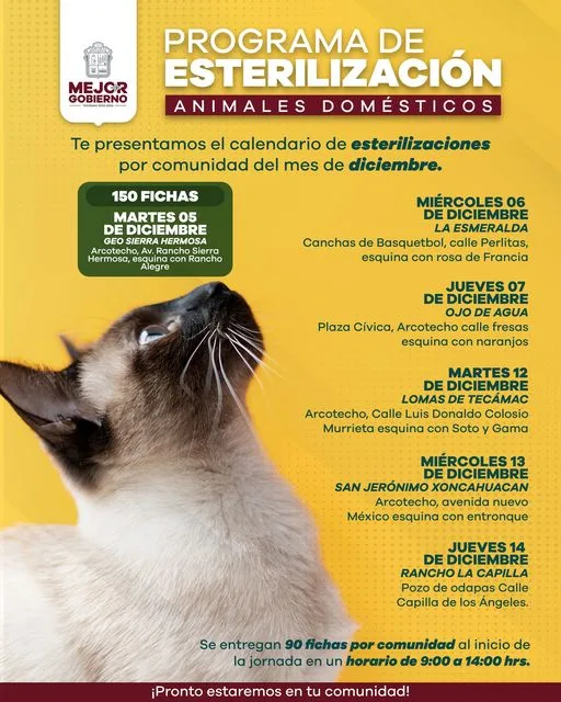 1701795463 Te presentamos el Calendario de Esterilizaciones por comunidad para animales jpg