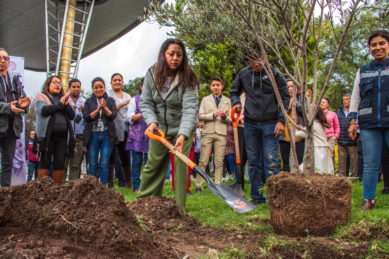 1701804266 PRESIDENTA XOCHITL FLORES JIMENEZ PLANTA ARBOL DE OLIVO COMO SIGNO