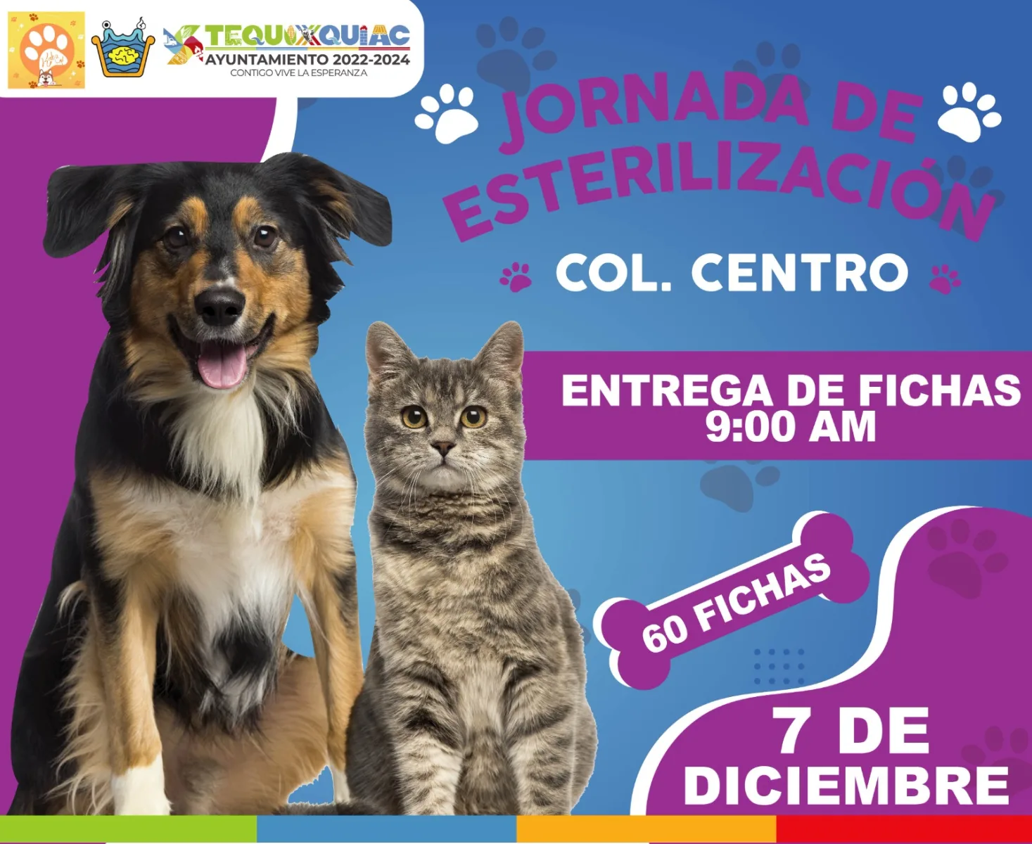 1701805501 604 JORNADAS DE ESTERILIZACION GRATUITAS ESTE 06 Y 07 DE DICIEMBRE