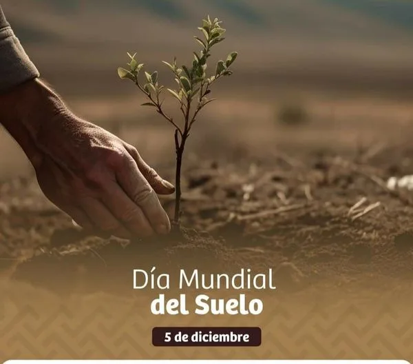 1701814083 ¡¡Cuidar el suelo no es solo obligacion agricola es deber jpg