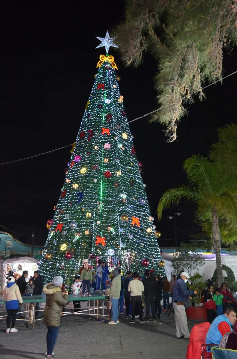 1701953814 Asi vivimos esta tarde y noche el Encendido del Arbol