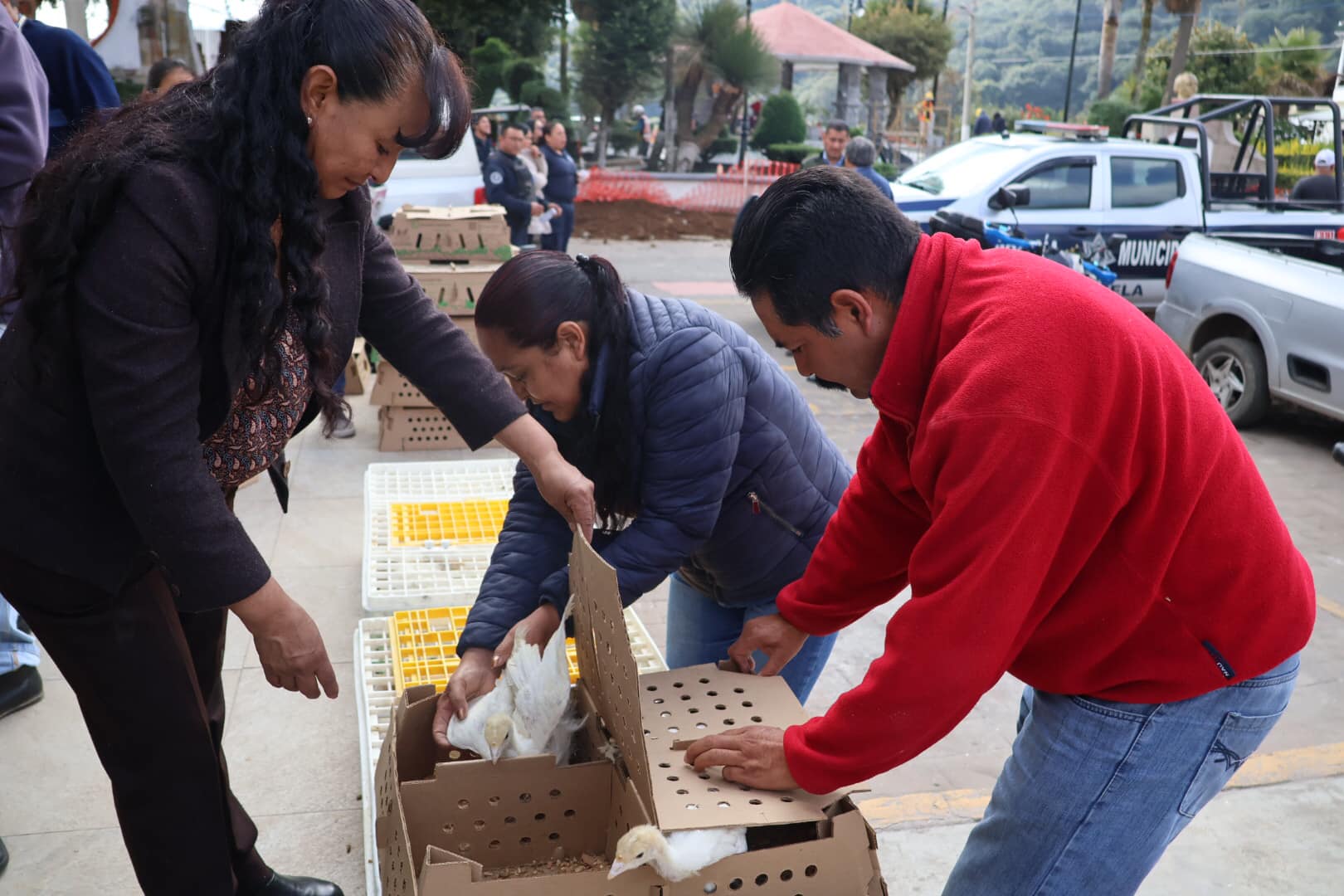 1701955309 69 La Coordinacion de Salud realizo la entrega de 4x20e30x20e3 𝗣𝗔𝗤𝗨𝗘𝗧𝗘𝗦