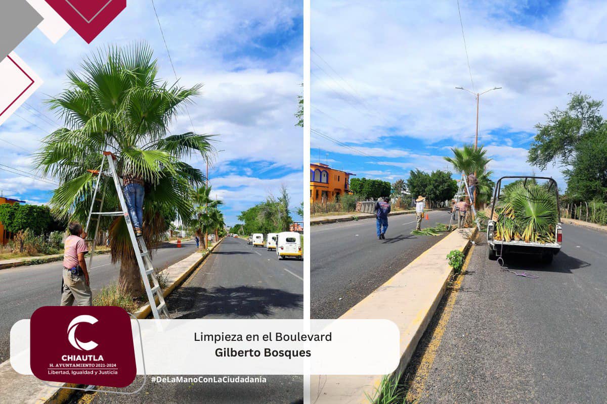 1701967160 322 Se realiza limpieza en el Boulevard Gilberto Bosques se invita