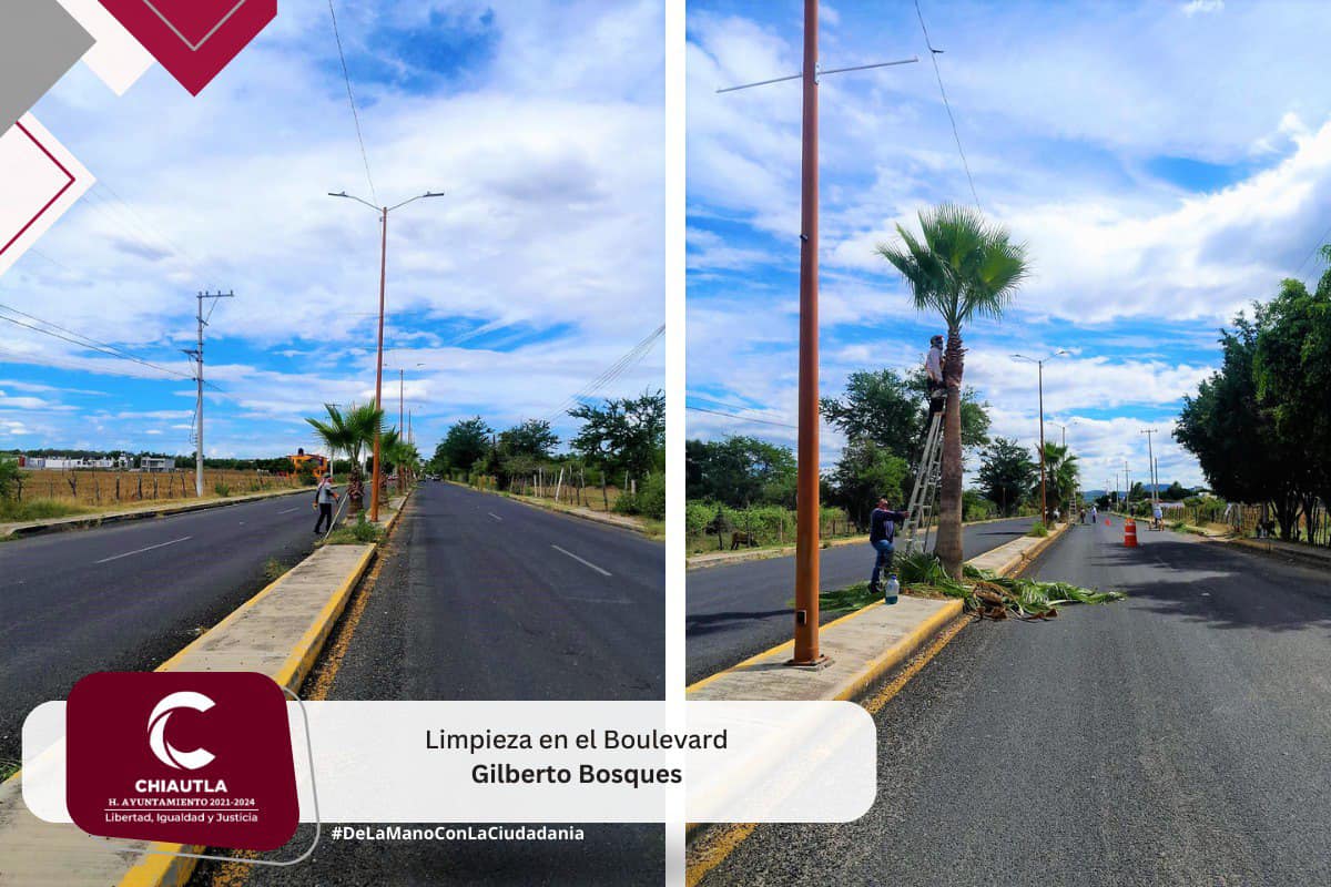 1701967171 Se realiza limpieza en el Boulevard Gilberto Bosques se invita