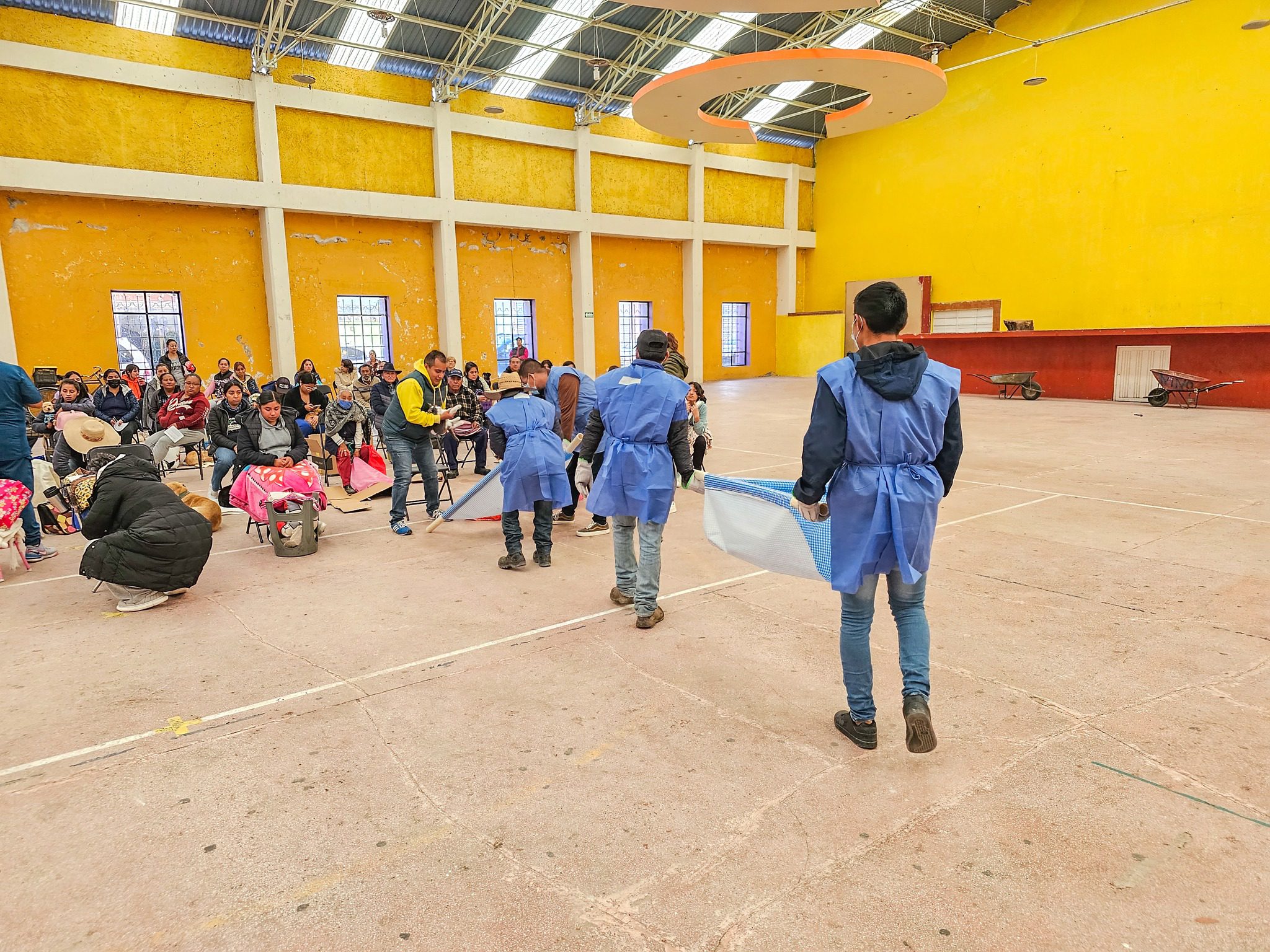 1701973574 690 ¡Cuidar a quienes no pueden hablar es responsabilidad de todos