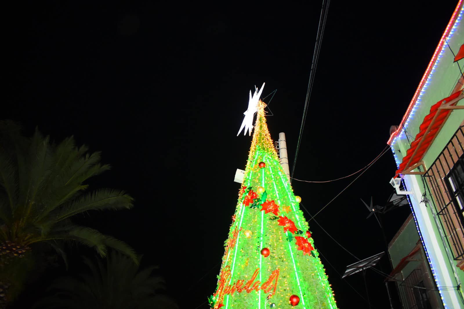 1702040165 265 ¡Encendimos el arbol de navidad