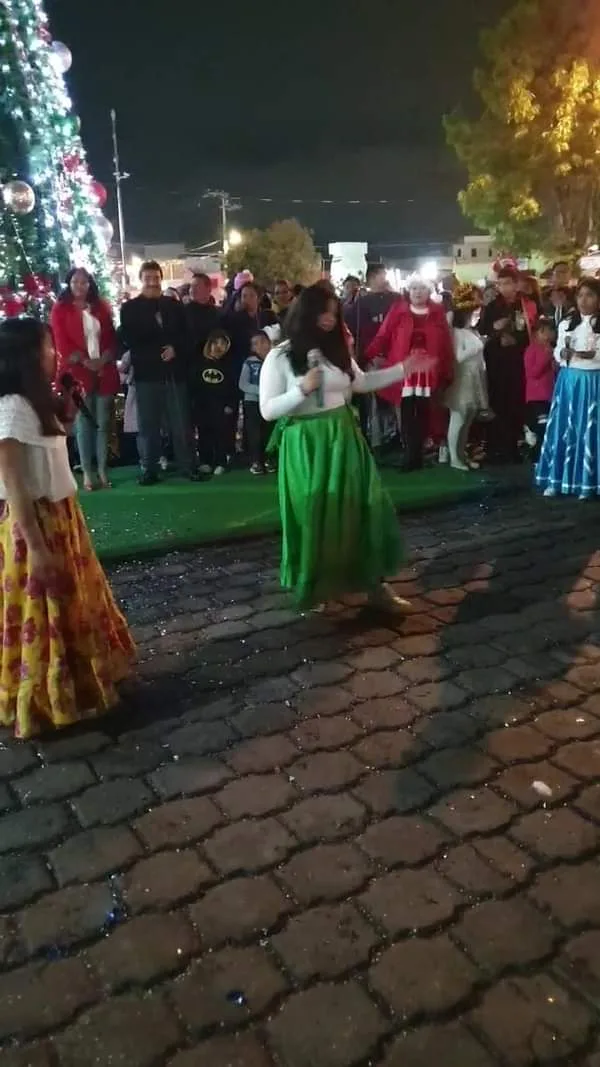 1702040663 Encendido del arbol de Navidad jpg