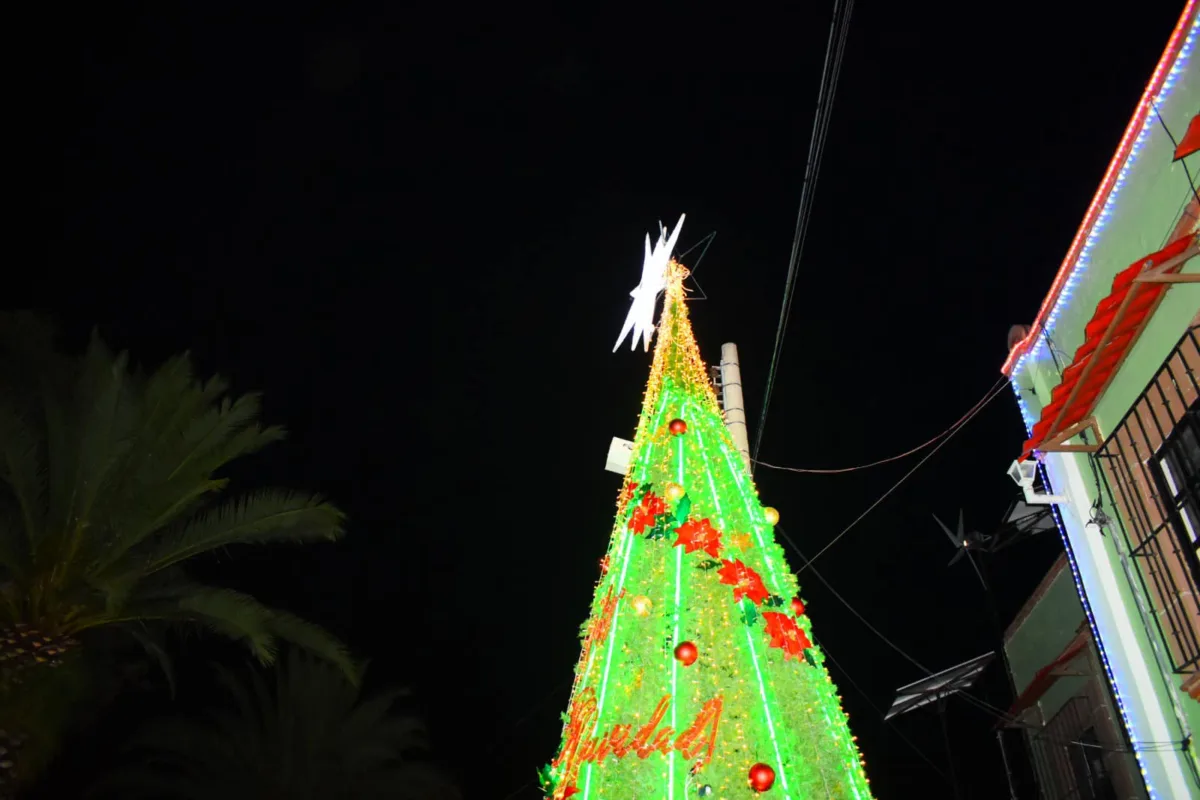 1702155888 357 ¡Encendimos el arbol de navidad