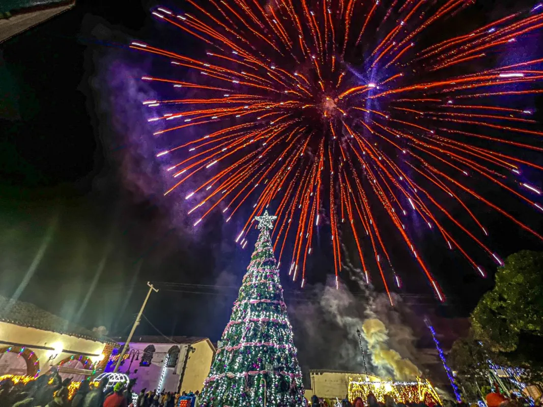 1702211812 456 ¡Con mucha alegria y emocion dimos el encendido del arbol