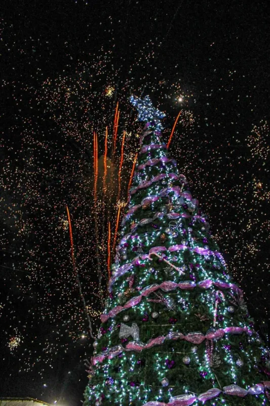 1702211843 ¡Con mucha alegria y emocion dimos el encendido del arbol jpg