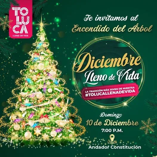 1702213265 ¡La magia de la Navidad esta a punto de iluminar jpg webp