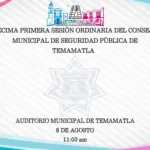 Décima Primera Sesión Ordinaria del Consejo Municipal de Seguridad Pública