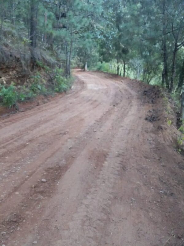 1702232724 574 Seguimos avanzando en la Rehabilitacion de Caminos donde se benefician