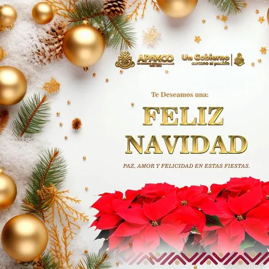 1703825768 TE DESEAMOS UNA FELIZ NAVIDAD jpg